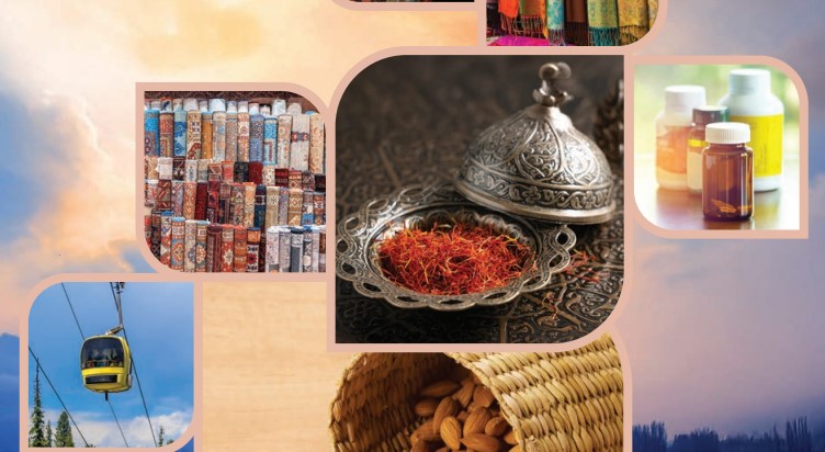 Building Exports from Jammu & Kashmir