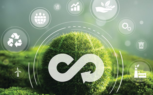 Essays on Trade, Environment, and Regulation